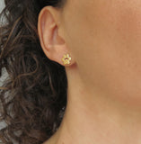 paw print earrings 14k gold