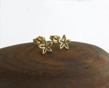 delicate eaveryday earrings, 14k gold
